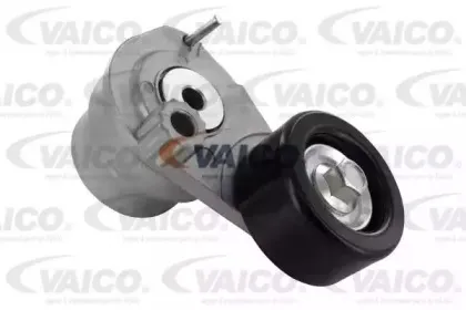 vaico-v247186