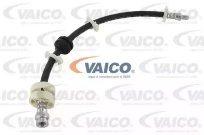 vaico-v249645