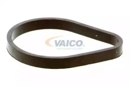 vaico-v249657