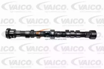 vaico-v250090