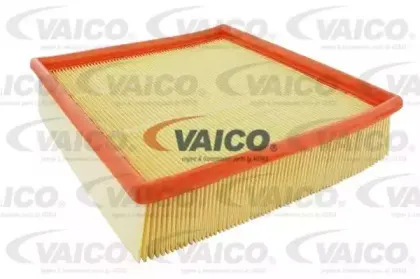 vaico-v250099