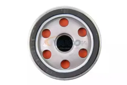 vaico-v250101