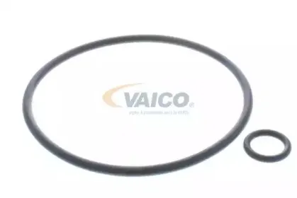 vaico-v250105