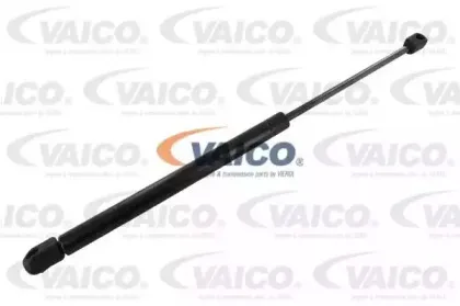 vaico-v250229