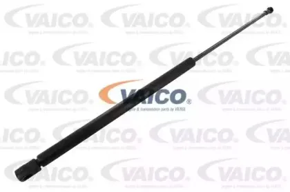 vaico-v250232