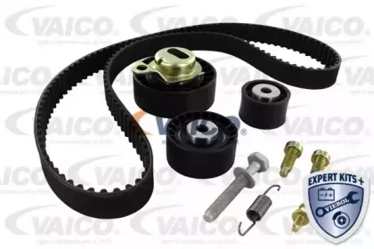 vaico-v250238