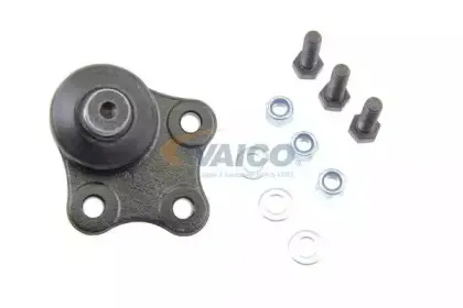 vaico-v250273