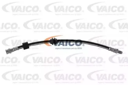 vaico-v250302