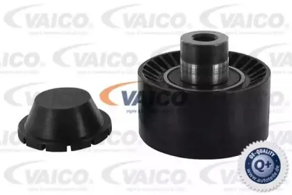 vaico-v250342