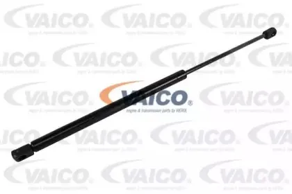 vaico-v250417