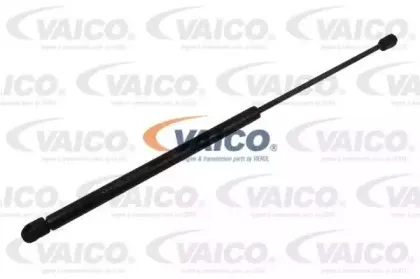 vaico-v250419