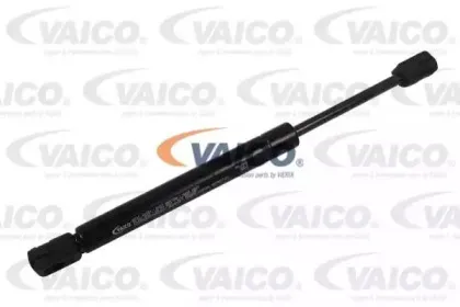 vaico-v250424