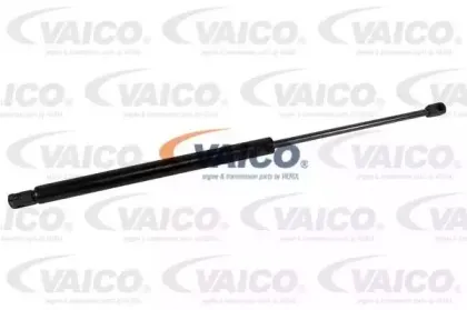 vaico-v250434