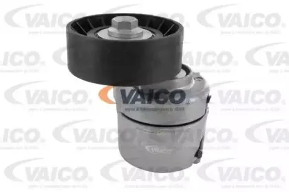 vaico-v250444