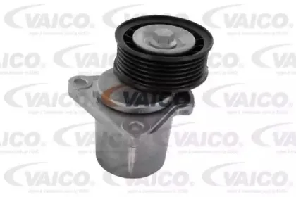vaico-v250445