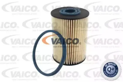 vaico-v250524
