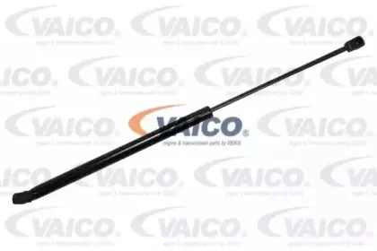vaico-v250800