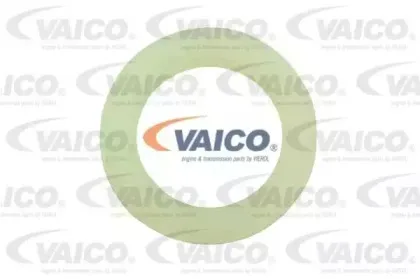 vaico-v250810