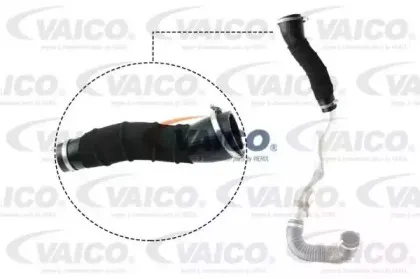 V25-1034 VAICO Трубка нагнетаемого воздуха