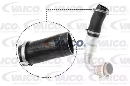 V25-1036 VAICO Трубка нагнетаемого воздуха