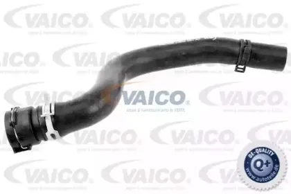 V25-1203 VAICO Шланг радиатора