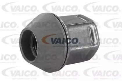 vaico-v251753