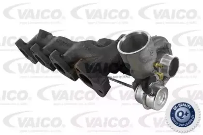 vaico-v258138