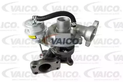 vaico-v258141