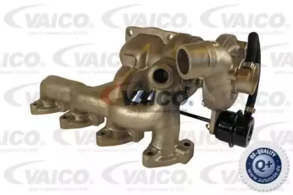 vaico-v258146