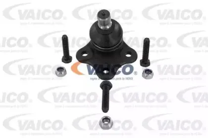 vaico-v259538