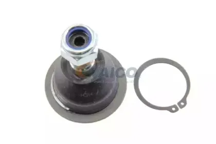 vaico-v259576