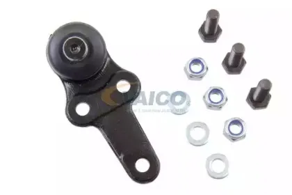 vaico-v259677