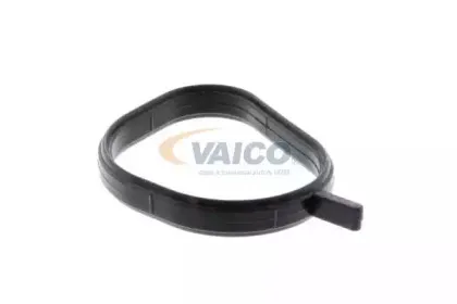 vaico-v259697