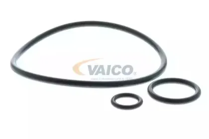 vaico-v260121