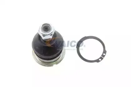 vaico-v269501