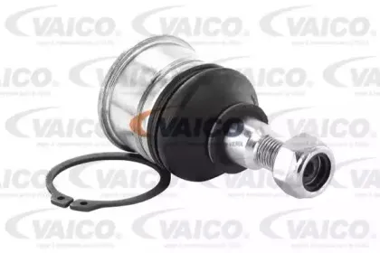 vaico-v269588