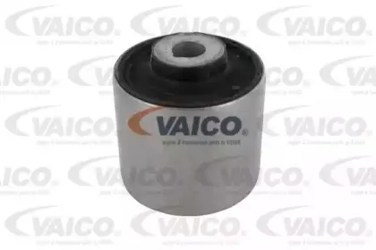 vaico-v300015