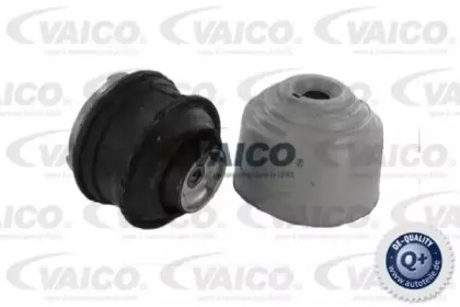 vaico-v300025