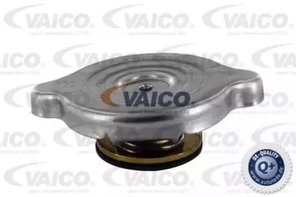 vaico-v300038