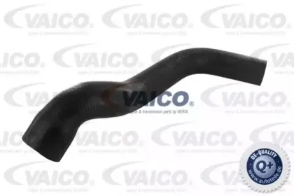 vaico-v300148