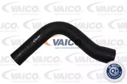 V30-0225 VAICO Шланг радиатора