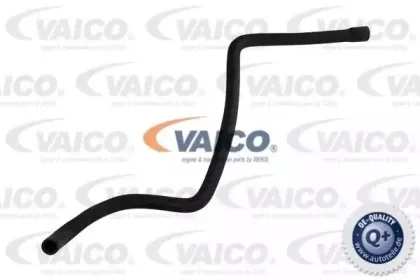vaico-v300242