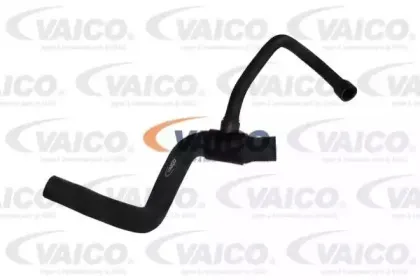 vaico-v300257