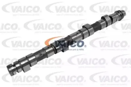 vaico-v300261