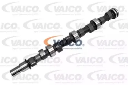 vaico-v300270