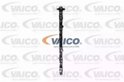 vaico-v300271