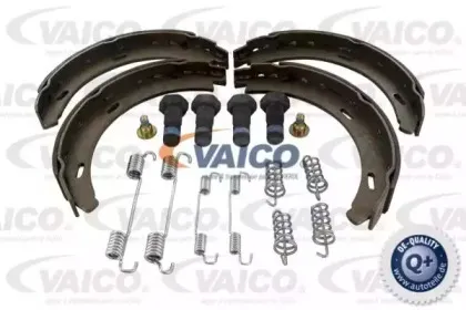 vaico-v300491