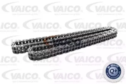 vaico-v300495