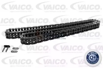 vaico-v300498