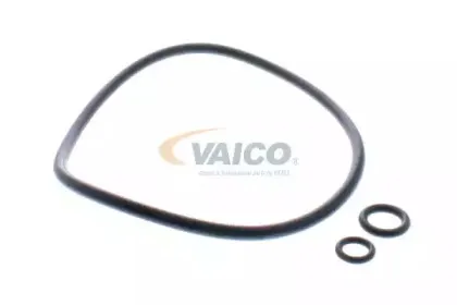 vaico-v300841